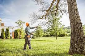 Best Emergency Tree Removal  in Hobbs, NM
