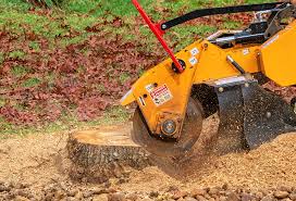 Best Lawn Irrigation Installation and Maintenance  in Hobbs, NM