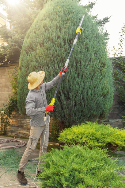 Best Soil Testing and Treatment  in Hobbs, NM